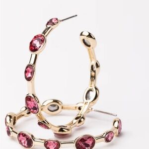 Michelle McDowell Allie Rose Hoops